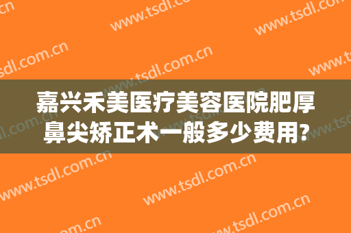 嘉兴禾美医疗美容医院肥厚鼻尖矫正术一般多少费用?效果怎么样?(禾嘉美整形医院)