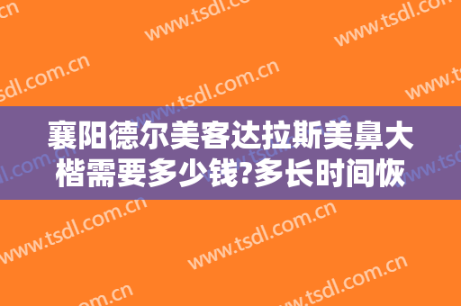 襄阳德尔美客达拉斯美鼻大楷需要多少钱?多长时间恢复?