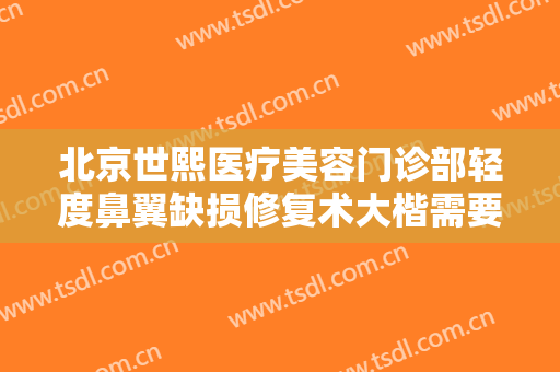 北京世熙医疗美容门诊部轻度鼻翼缺损修复术大楷需要多少钱?怎么样?