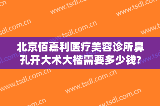 北京佰嘉利医疗美容诊所鼻孔开大术大楷需要多少钱?怎么样?