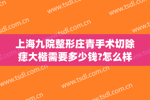 上海九院整形庄青手术切除痣大楷需要多少钱?怎么样?(上海九院切除黑痣价格)