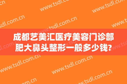 成都艺美汇医疗美容门诊部肥大鼻头整形一般多少钱?效果怎么样?(艺美医院整形)