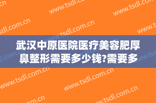 武汉中原医院医疗美容肥厚鼻整形需要多少钱?需要多久恢复?(武汉整形美容医院价格多少)