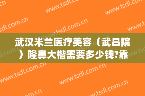 武汉米兰医疗美容（武昌院）隆鼻大楷需要多少钱?靠谱吗?(武汉米兰整形美容院怎么样)