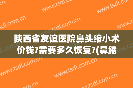 陕西省友谊医院鼻头缩小术价钱?需要多久恢复?(鼻缩小手术多少钱)