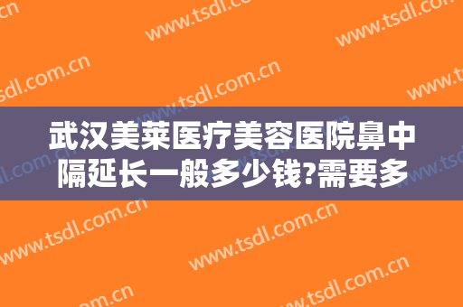 武汉美莱医疗美容医院鼻中隔延长一般多少钱?需要多久恢复?