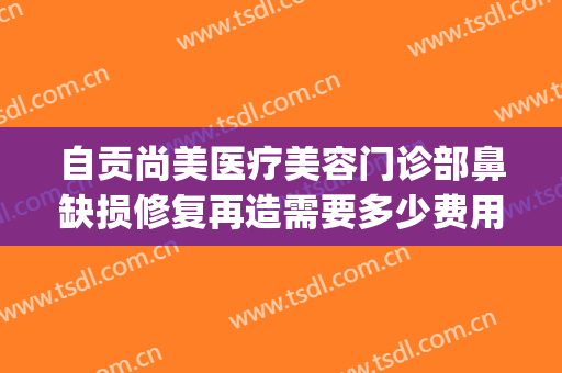 自贡尚美医疗美容门诊部鼻缺损修复再造需要多少费用?效果怎么样?(自贡整形美容医院费用)