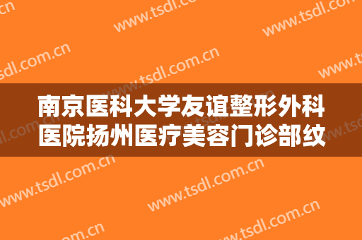 南京医科大学友谊整形外科医院扬州医疗美容门诊部纹眉修复眉缺损价钱?靠谱吗?