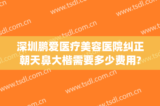 深圳鹏爱医疗美容医院纠正朝天鼻大楷需要多少费用?怎么样?(深圳鹏爱美容整形医院)