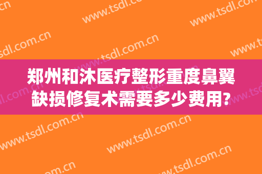 郑州和沐医疗整形重度鼻翼缺损修复术需要多少费用?贵不贵?(球球大作战登山在哪)