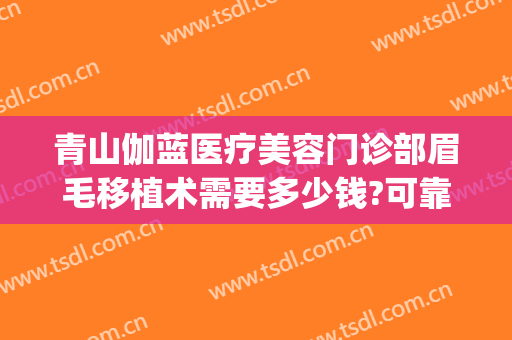 青山伽蓝医疗美容门诊部眉毛移植术需要多少钱?可靠吗?(眉毛种植手术费用)