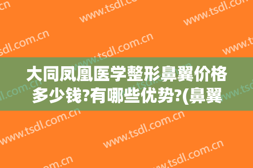 大同凤凰医学整形鼻翼价格多少钱?有哪些优势?(鼻翼整容价格)