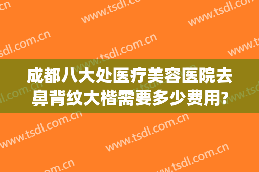 成都八大处医疗美容医院去鼻背纹大楷需要多少费用?好不好?(成都八大处美容整形医院)