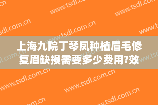 上海九院丁琴凤种植眉毛修复眉缺损需要多少费用?效果怎么样?(上海九院种植眉毛多少钱)