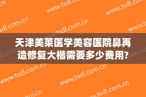 天津美莱医学美容医院鼻再造修复大楷需要多少费用?怎么样?(鼻部整形修复价格)