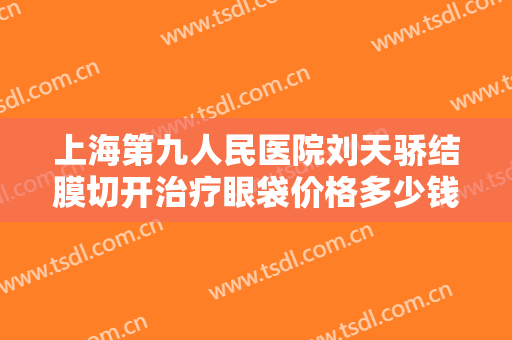 上海第九人民医院刘天骄结膜切开治疗眼袋价格多少钱?贵不贵?