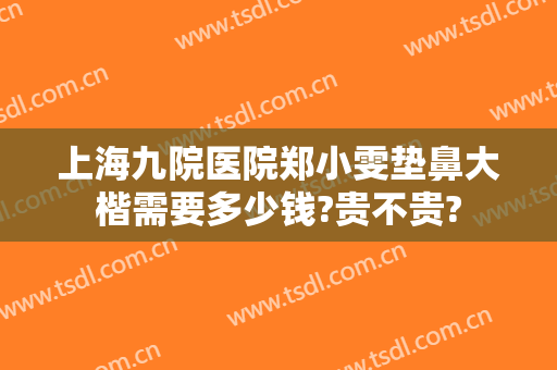 上海九院医院郑小雯垫鼻大楷需要多少钱?贵不贵?