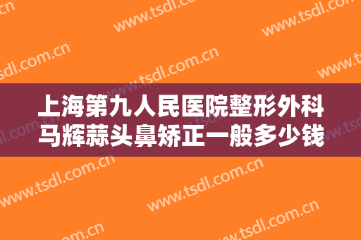 上海第九人民医院整形外科马辉蒜头鼻矫正一般多少钱?怎么样?