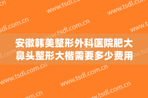 安徽韩美整形外科医院肥大鼻头整形大楷需要多少费用?贵不贵?(整形医院整鼻子多少钱)
