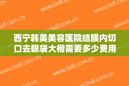 西宁韩美美容医院结膜内切口去眼袋大楷需要多少费用?好不好?