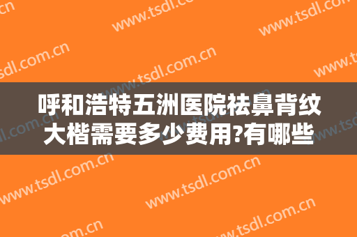 呼和浩特五洲医院祛鼻背纹大楷需要多少费用?有哪些优势?