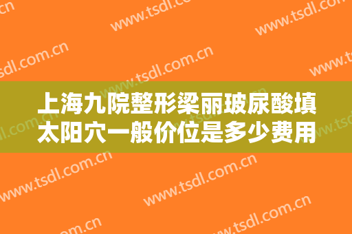 上海九院整形梁丽玻尿酸填太阳穴一般价位是多少费用?怎么样?