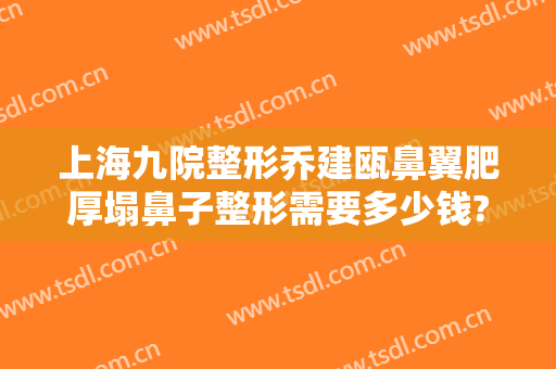 上海九院整形乔建瓯鼻翼肥厚塌鼻子整形需要多少钱?怎么样?