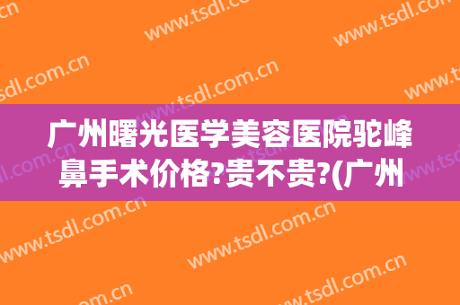 广州曙光医学美容医院驼峰鼻手术价格?贵不贵?(广州鼻头整形曙光好吗)