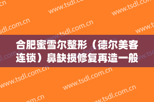 合肥蜜雪尔整形（德尔美客连锁）鼻缺损修复再造一般多少钱?贵不贵?(墨离用英语怎么说)
