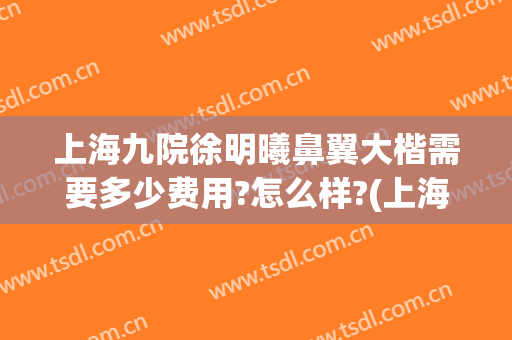 上海九院徐明曦鼻翼大楷需要多少费用?怎么样?(上海九院整鼻子多少钱)