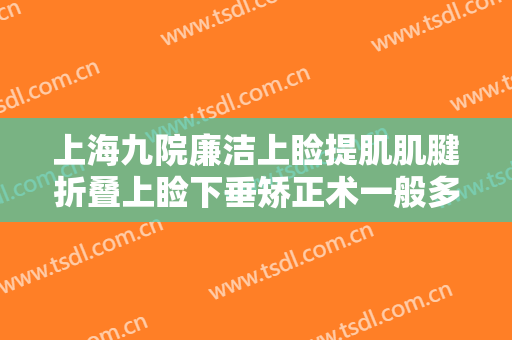 上海九院廉洁上睑提肌肌腱折叠上睑下垂矫正术一般多少费用?靠谱吗?