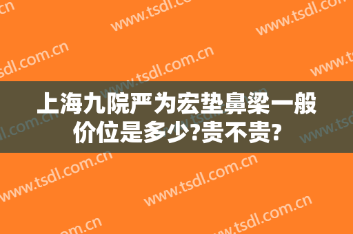 上海九院严为宏垫鼻梁一般价位是多少?贵不贵?