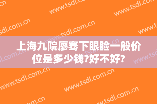 上海九院廖骞下眼睑一般价位是多少钱?好不好?