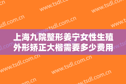 上海九院整形姜宁女性生殖外形矫正大楷需要多少费用?多长时间恢复?