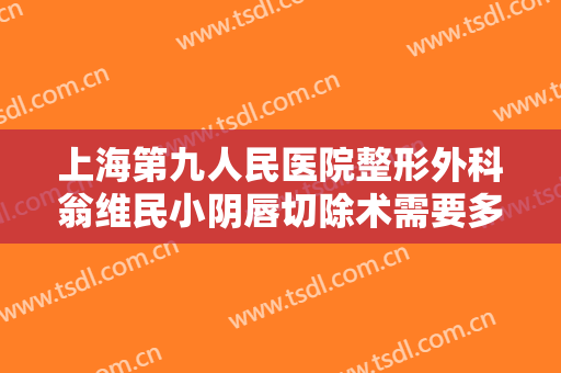 上海第九人民医院整形外科翁维民小阴唇切除术需要多少费用?需要多久恢复?