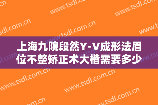 上海九院段然Y-V成形法眉位不整矫正术大楷需要多少钱?怎么样?
