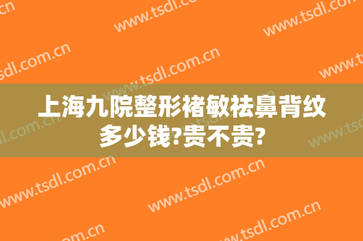 上海九院整形褚敏祛鼻背纹多少钱?贵不贵?