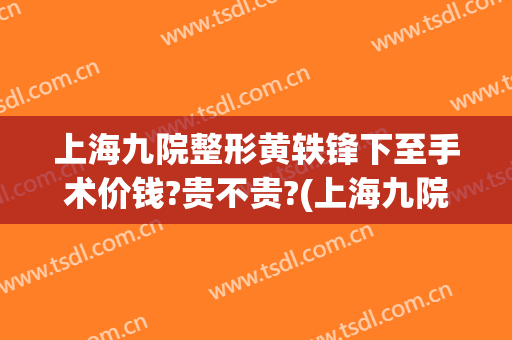 上海九院整形黄轶锋下至手术价钱?贵不贵?(上海九院微整形)