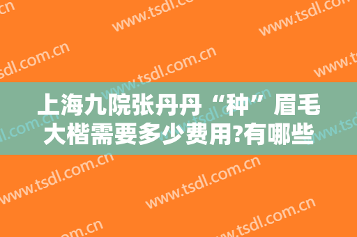 上海九院张丹丹“种”眉毛大楷需要多少费用?有哪些优势?