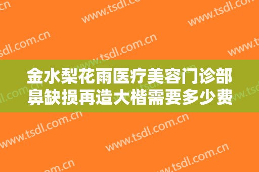 金水梨花雨医疗美容门诊部鼻缺损再造大楷需要多少费用?贵不贵?