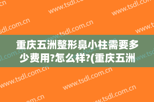 重庆五洲整形鼻小柱需要多少费用?怎么样?(重庆五洲整形好吗)