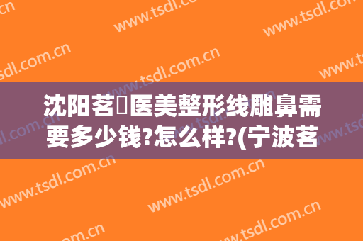 沈阳茗湲医美整形线雕鼻需要多少钱?怎么样?(宁波茗星医美整形好不好)
