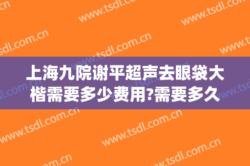 上海九院谢平超声去眼袋大楷需要多少费用?需要多久恢复?(上海九院去眼袋专家)