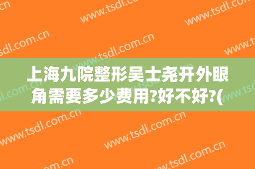 上海九院整形吴士尧开外眼角需要多少费用?好不好?(九院开眼角多少钱)