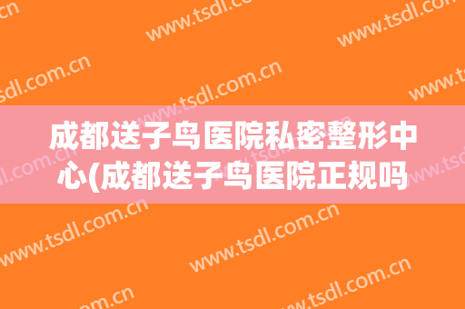 成都送子鸟医院私密整形中心(成都送子鸟医院正规吗)