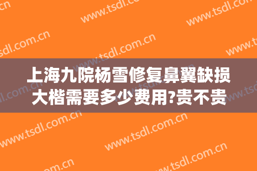 上海九院杨雪修复鼻翼缺损大楷需要多少费用?贵不贵?(上海九院鼻再造)