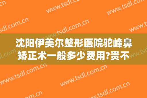 沈阳伊美尔整形医院驼峰鼻矫正术一般多少费用?贵不贵?(山东伊美尔整形医院)
