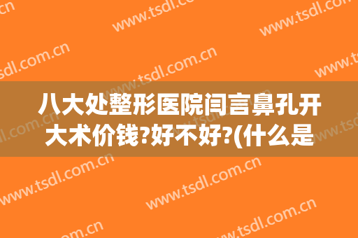 八大处整形医院闫言鼻孔开大术价钱?好不好?(什么是八大处医院整形)