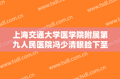 上海交通大学医学院附属第九人民医院冯少清眼睑下至术一般价位是多少?贵不贵?