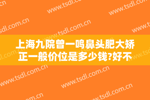 上海九院曾一鸣鼻头肥大矫正一般价位是多少钱?好不好?